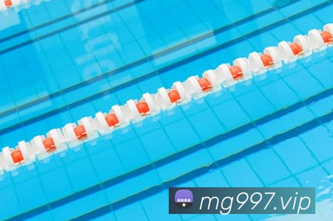 满贯体育APP 封面图